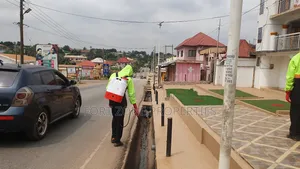 Ayeduase Fumigation With Cleantex