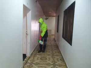 Ayeduase Fumigation With Cleantex