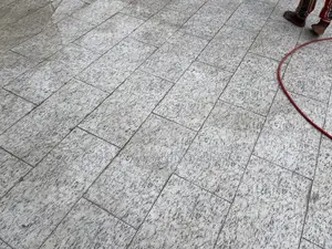 Cleaning Service