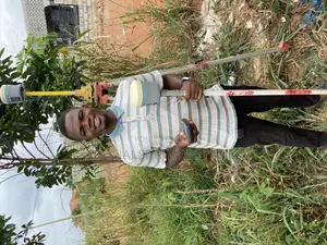 Land Surveyor
