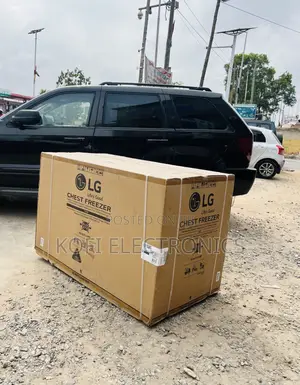 Quality Yet Affordable Lg Gcs315sqfg 280l 1 Door Freezer.