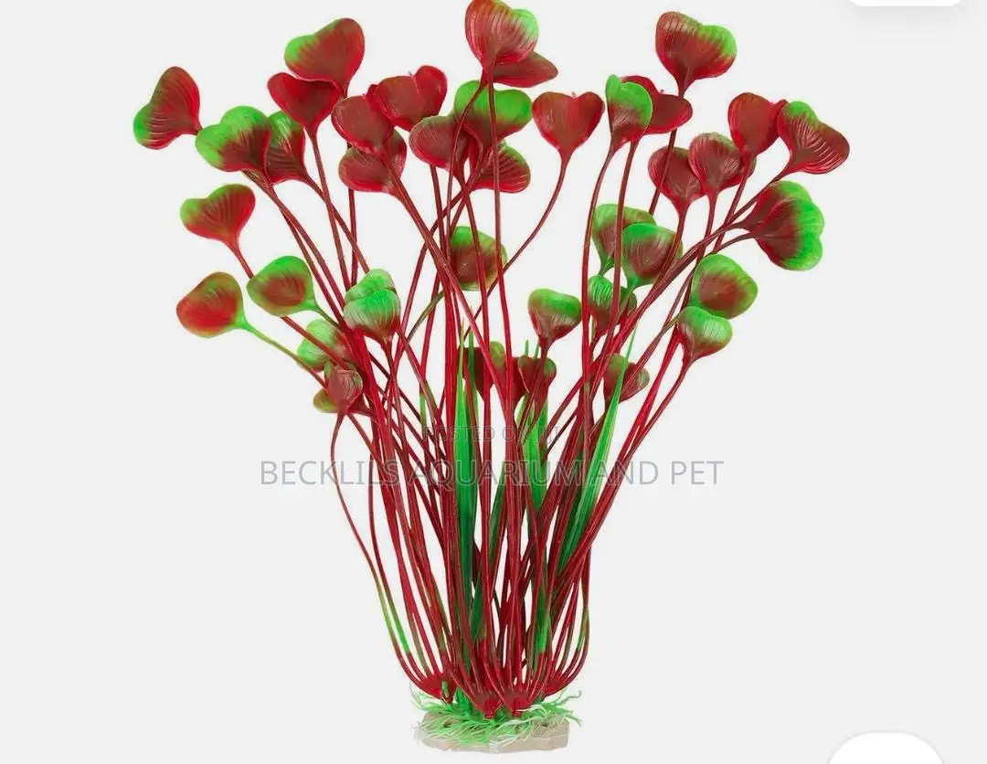 Roxy Aquarium Plant