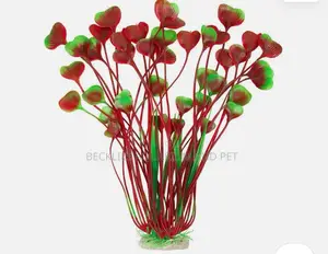 Roxy Aquarium Plant