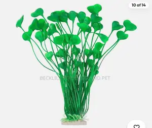 Roxy Aquarium Plant