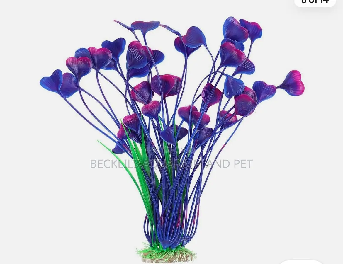 Roxy Aquarium Plant