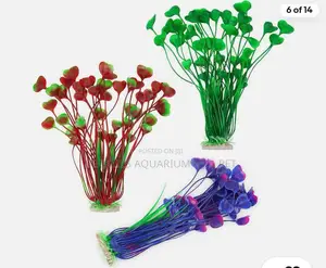 Roxy Aquarium Plant