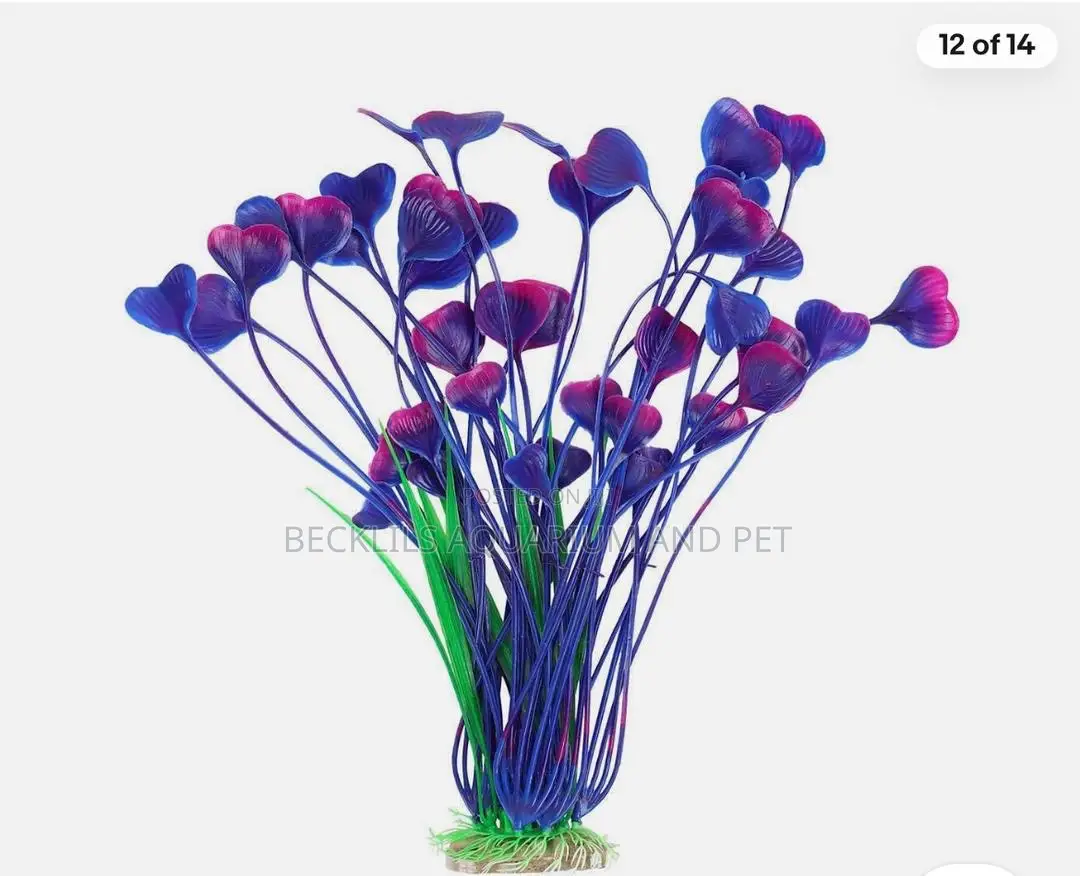 Roxy Aquarium Plant