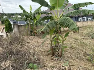 Half Plot for Sale at Aboabo,Sokoban Road.