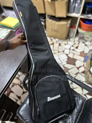 Bass Guitar Bag