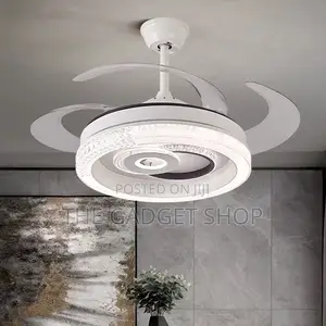 Modern Ceiling Fan With Light