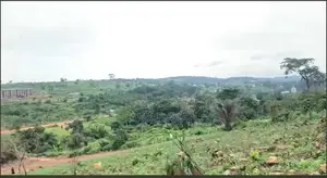 Land for Sale Berekuso-Aburi