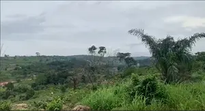 Land for Sale Berekuso-Aburi