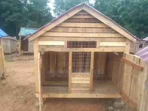 Dogs Cages