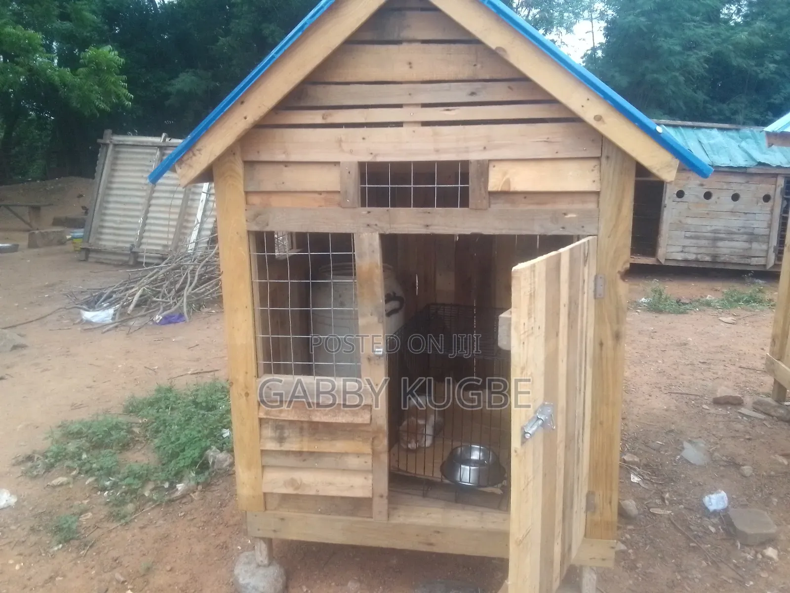 Dogs Cages