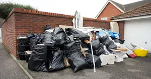 Cleaning and Junk Removal