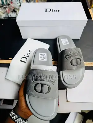 Christian Dior Cd Slide Ash N Black