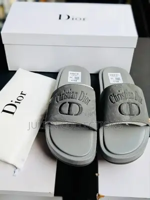 Christian Dior Cd Slide Ash N Black