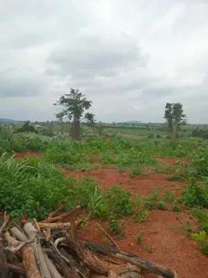 Alpha Estate Land for Sale Kweikrom