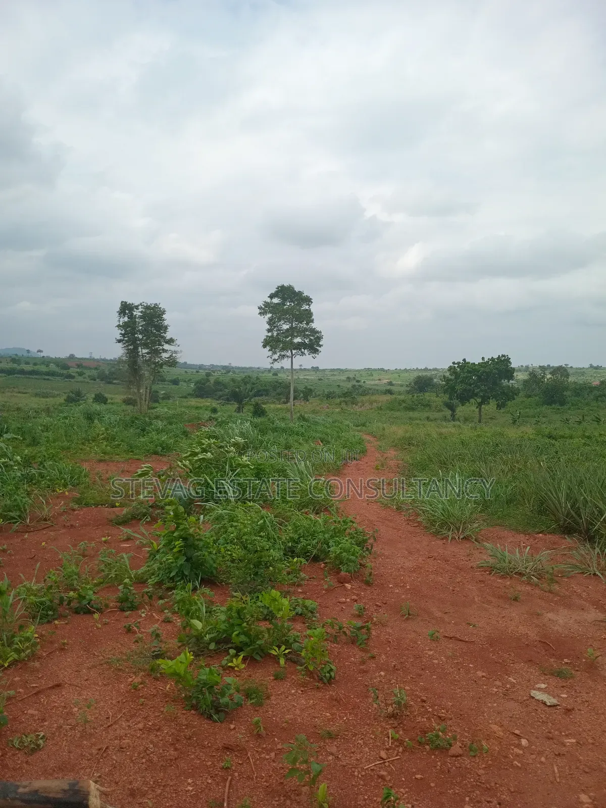 Alpha Estate Land for Sale Kweikrom