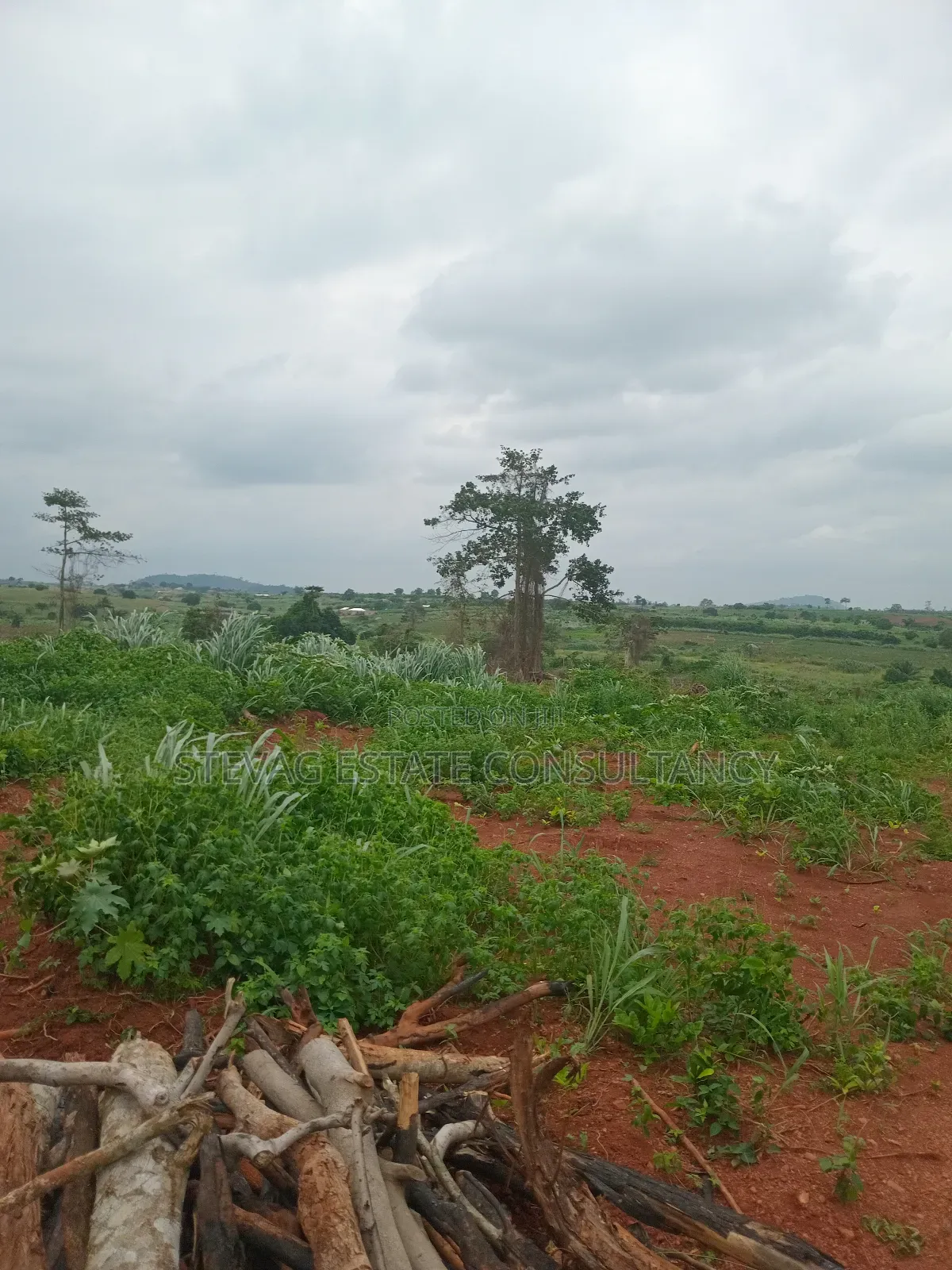 Alpha Estate Land for Sale Kweikrom