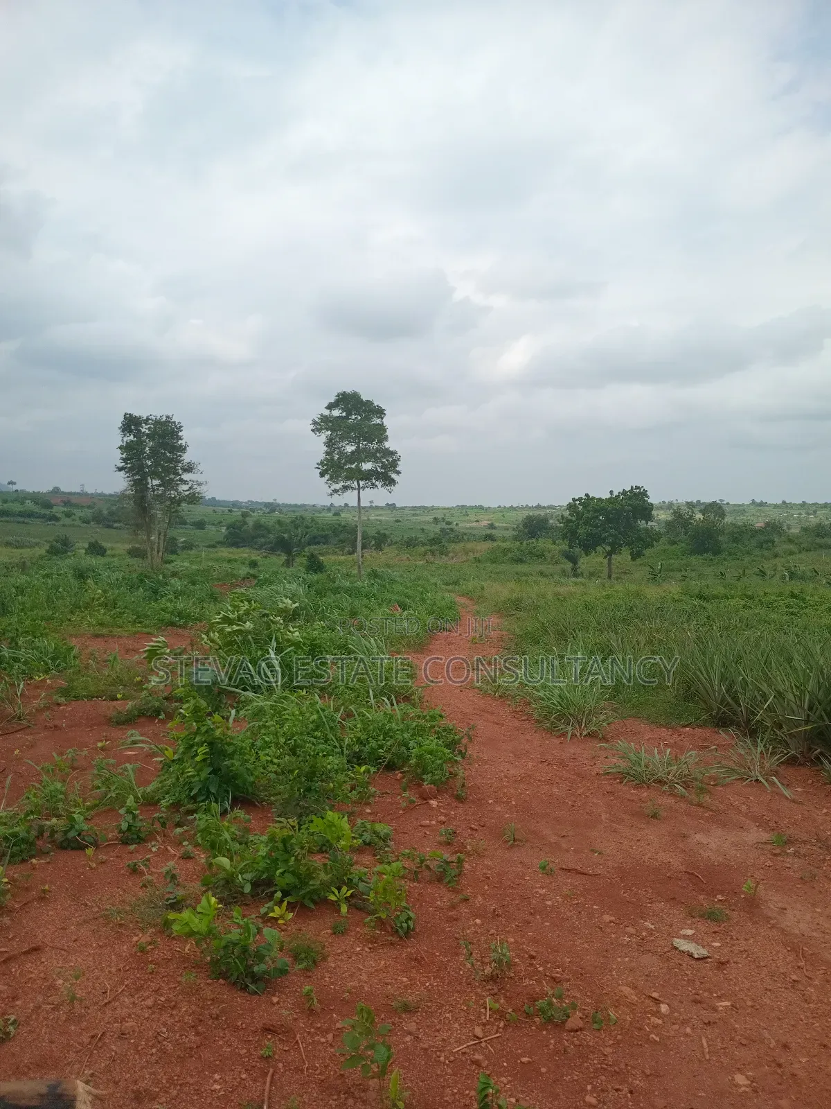 Alpha Estate Land for Sale Kweikrom