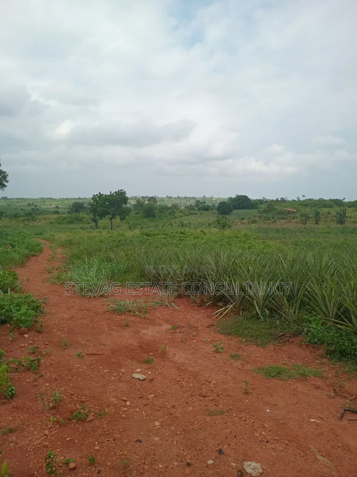 Alpha Estate Land for Sale Kweikrom