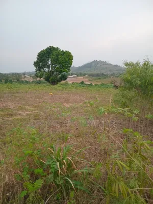 Estate Land for Sale at Akraman