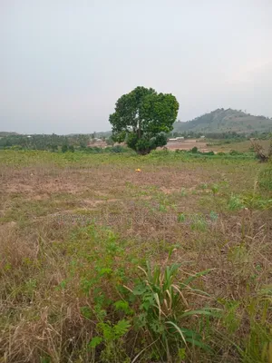 Estate Land for Sale at Akraman