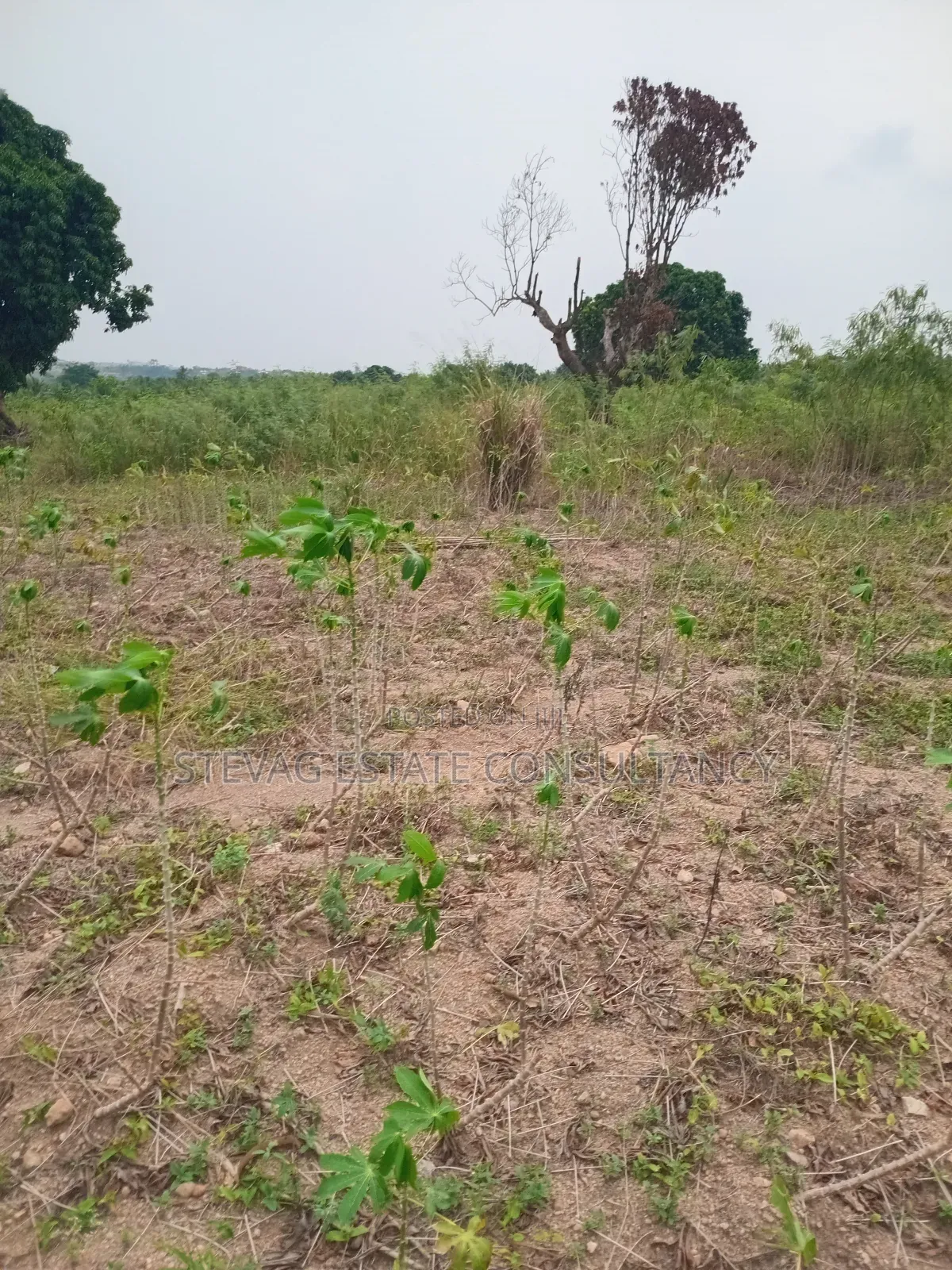 Estate Land for Sale at Akraman