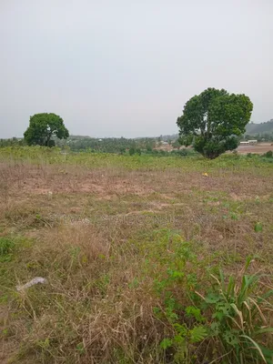 Estate Land for Sale at Akraman