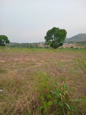 Estate Land for Sale at Akraman