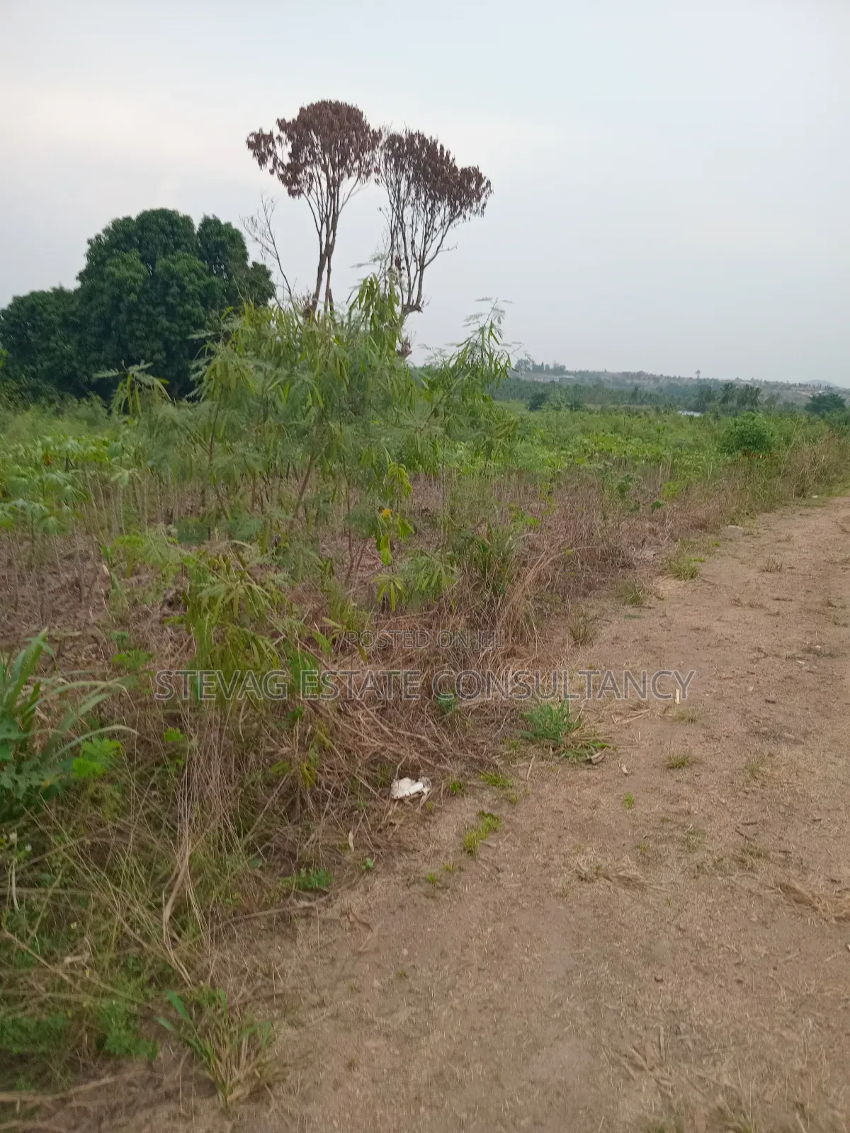 Estate Land for Sale at Akraman