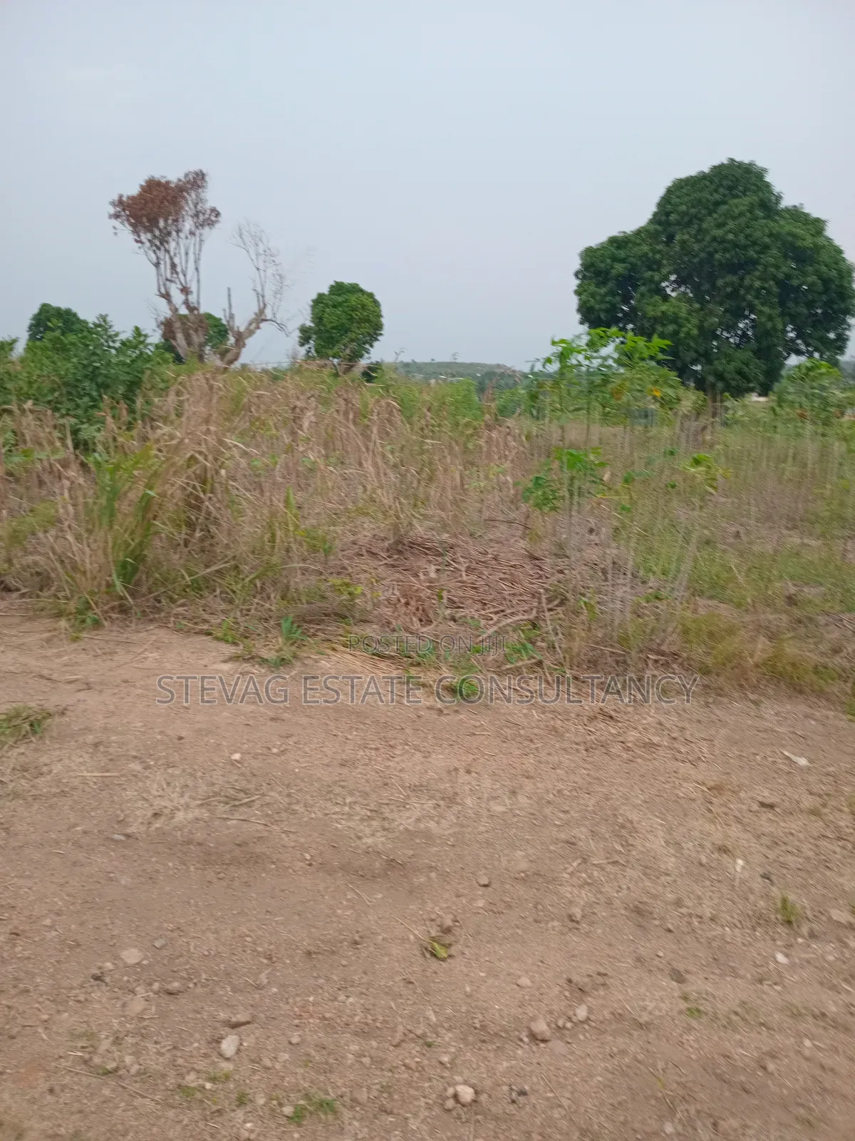 Estate Land for Sale at Akraman