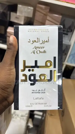 Ameer Al Oudh