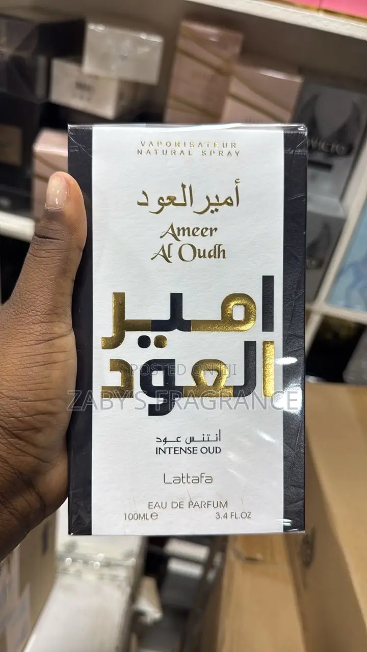 Ameer Al Oudh