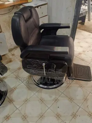 Barber and Salon Chair