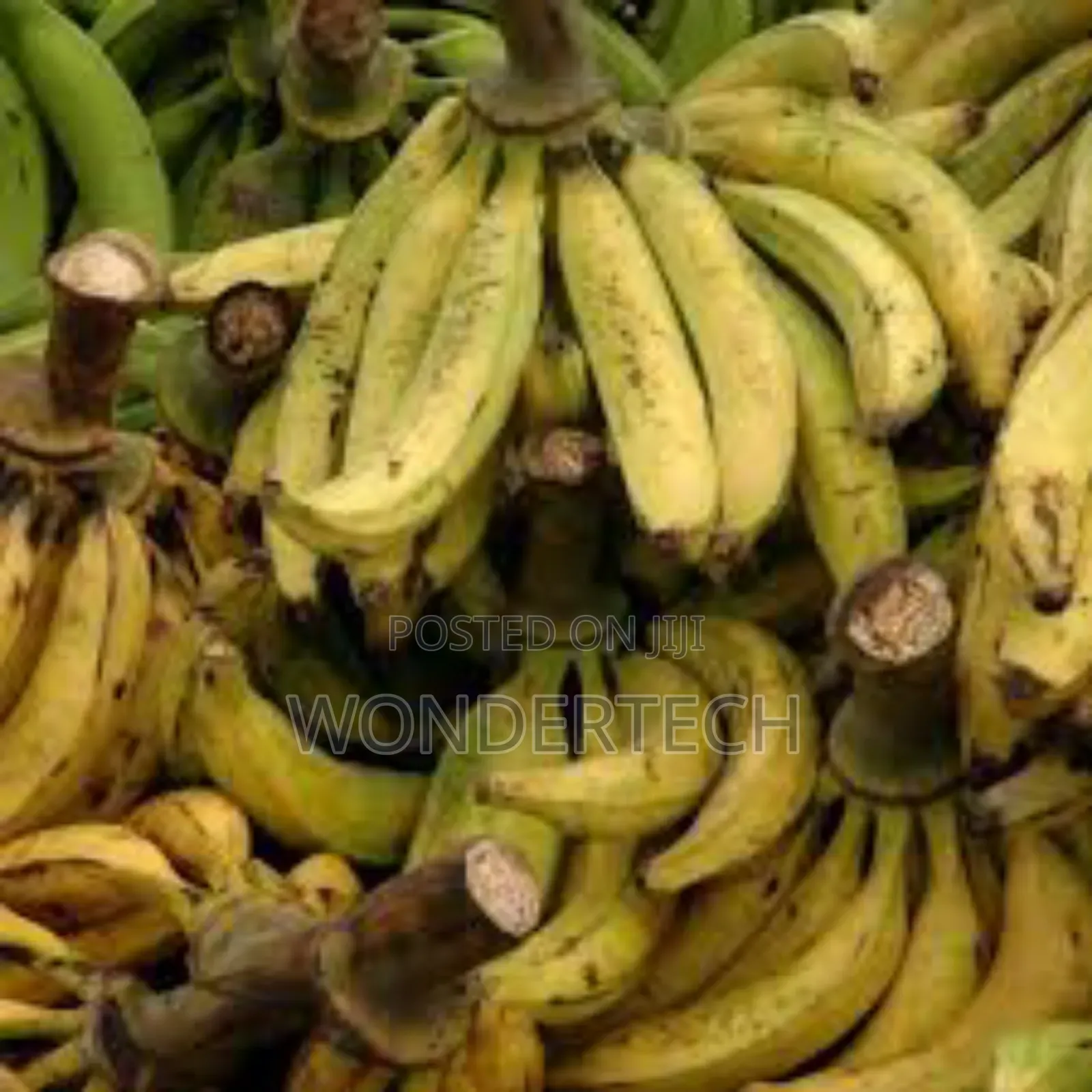 Plantain and Cassava
