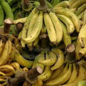 Plantain and Cassava