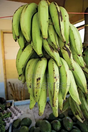 Plantain and Cassava
