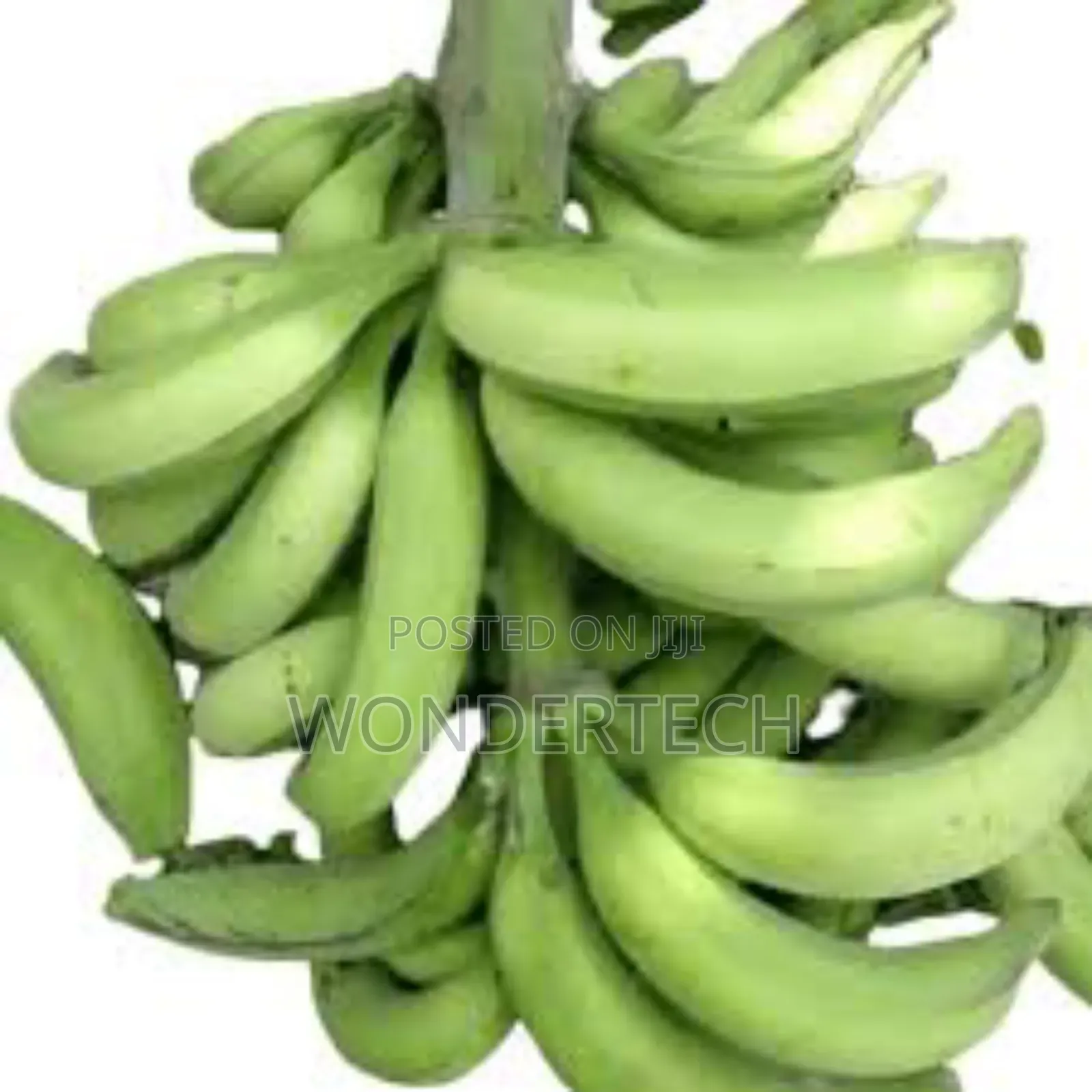 Plantain and Cassava