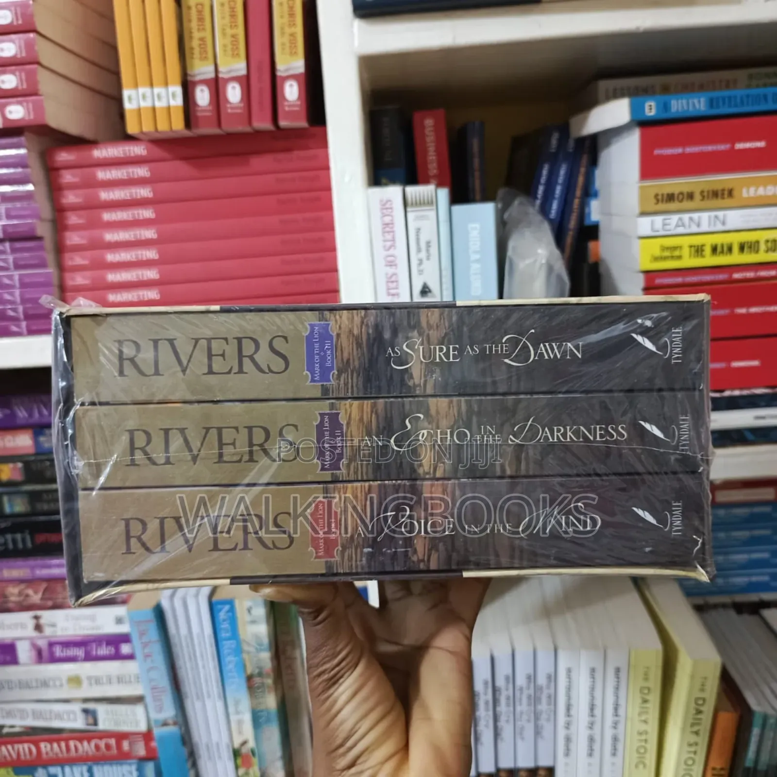 Mark Of The Lion Series