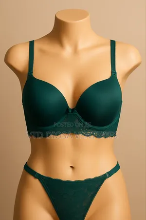 Sexy Ladies' Bra & Pant (Lingerie)