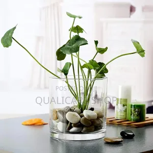 Set Of 12 Cylindrical Glass Vases 400ml