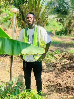 Land Surveying Professionals