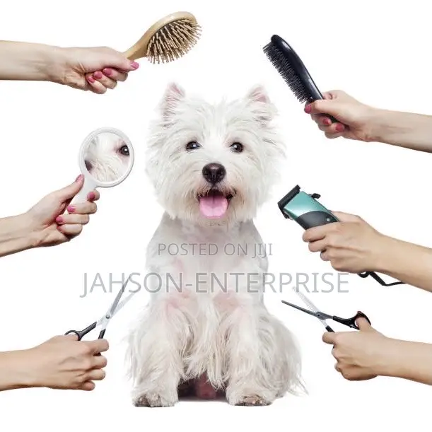 Pet Grooming Services