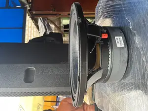 Jac 12” Double Magnet