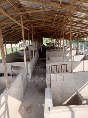 A Newly Built Pig Farm for Sale at Adeiso