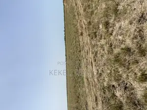 Own a 70x100 Ft Plot in Akwaaba Park – For Only GHS 50,000