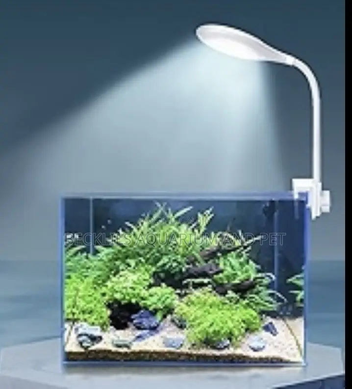 Aqurium Light ( Table Top)
