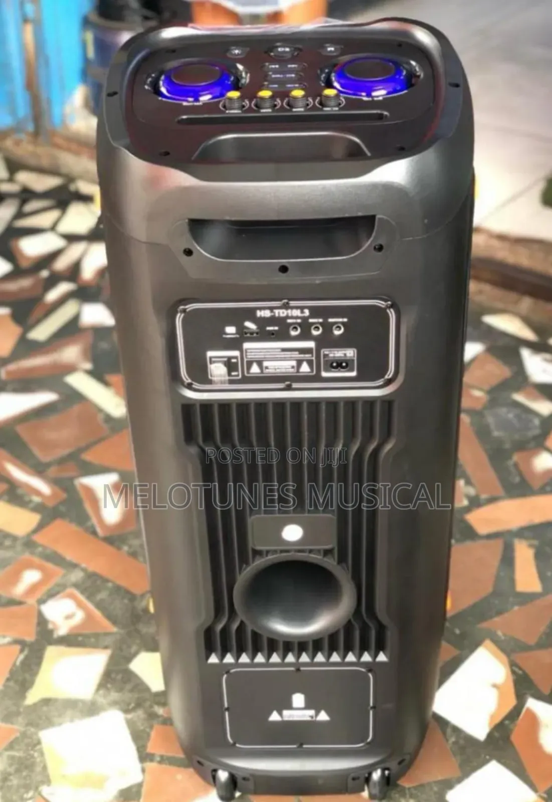 Dual 8 Inch Wireless Microphones RGB Light Speaker